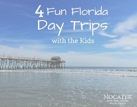 4 Fun Florida Day Trips with the Kids