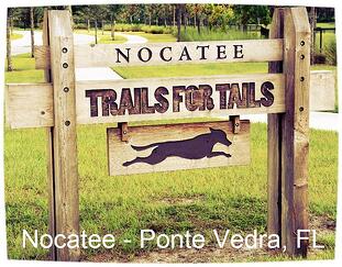 Nocatee dog park