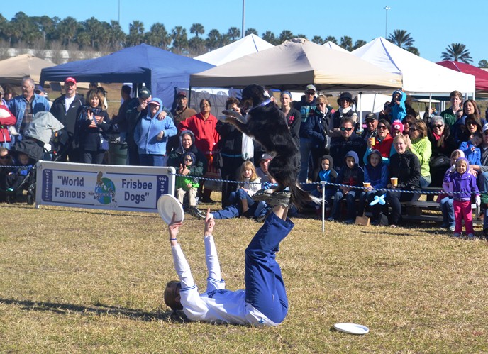 Disc Connected K9s at Nocatee Farmers Market Disc Connected K9s at Nocatee Farmers Market