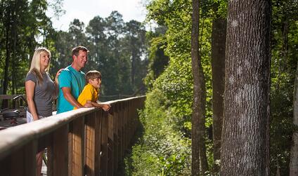 Nocatee Greenway Trails