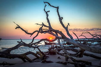 Little Talbot Island at Jacksonville, Florida