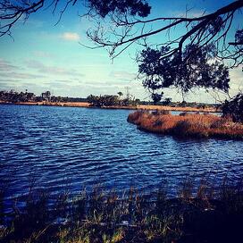 The Nocatee Preserve