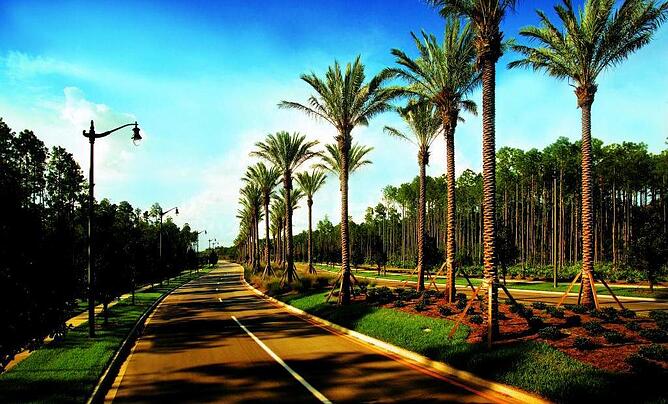 Crosswater Parkway at Nocatee Ponte Vedra