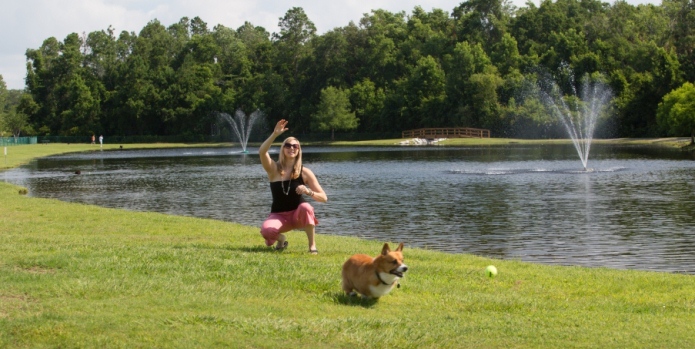 Going to the Dogs: Jacksonville Dog Parks