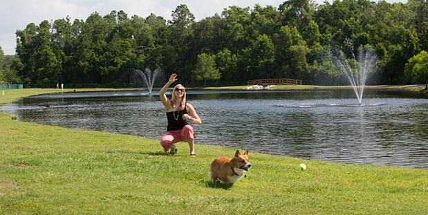 Nocatee Dog Parks