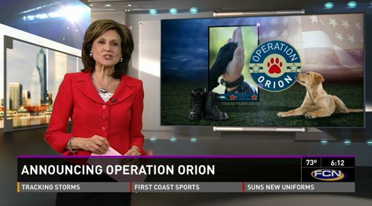 operation_orion