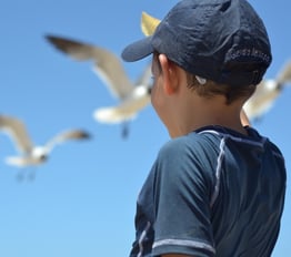 kid - boy - beach - seagull - child- blog.jpg
