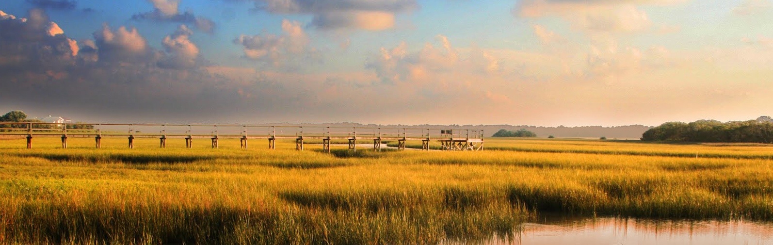 Marsh Views in Jacksonville, Florida