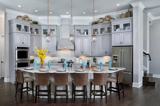 LaRocque Kitchen by David Weekley Homes in The Island 