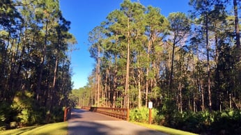 Nocatee Greenway Trails