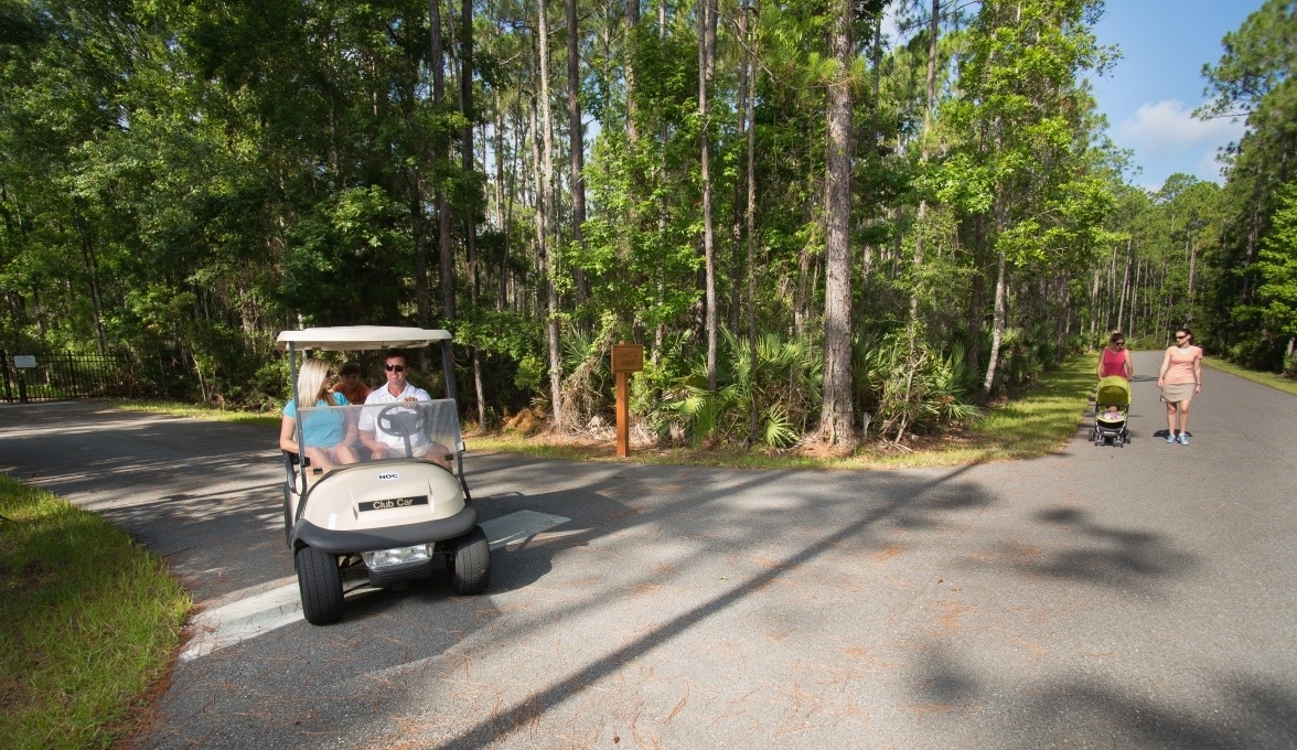 Multipurpose Nocatee Greenways Trails 